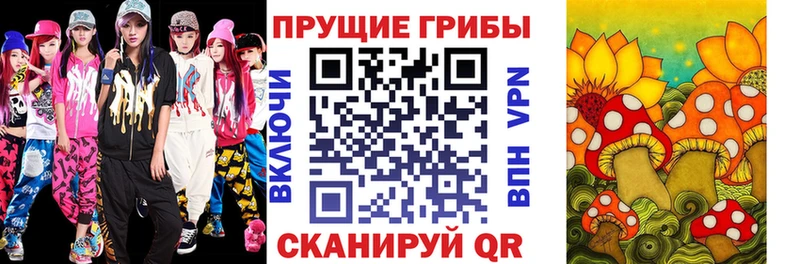 Галлюциногенные грибы Psilocybine cubensis Чишмы