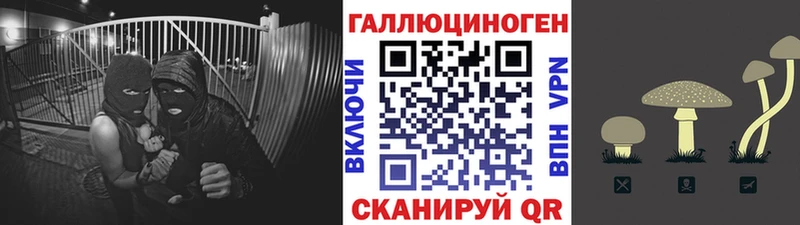 Псилоцибиновые грибы прущие грибы  OMG tor  Чишмы 